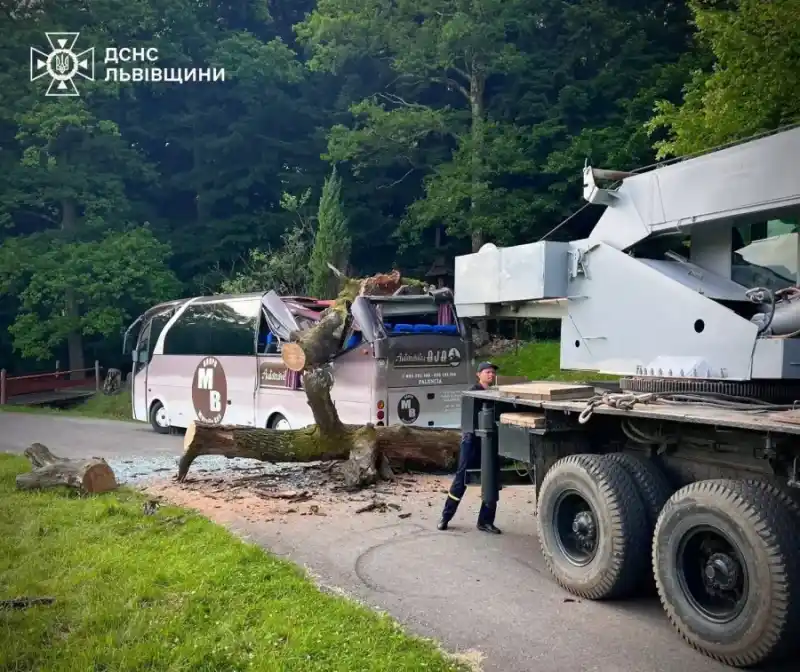 У Нагуєвичах на автобус із дітьми впало дерево, під яким творив Іван Франко